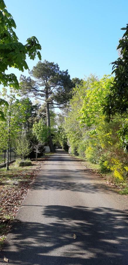 Le Domaine d'Azae Hotel Gujan-Mestras Kültér fotó